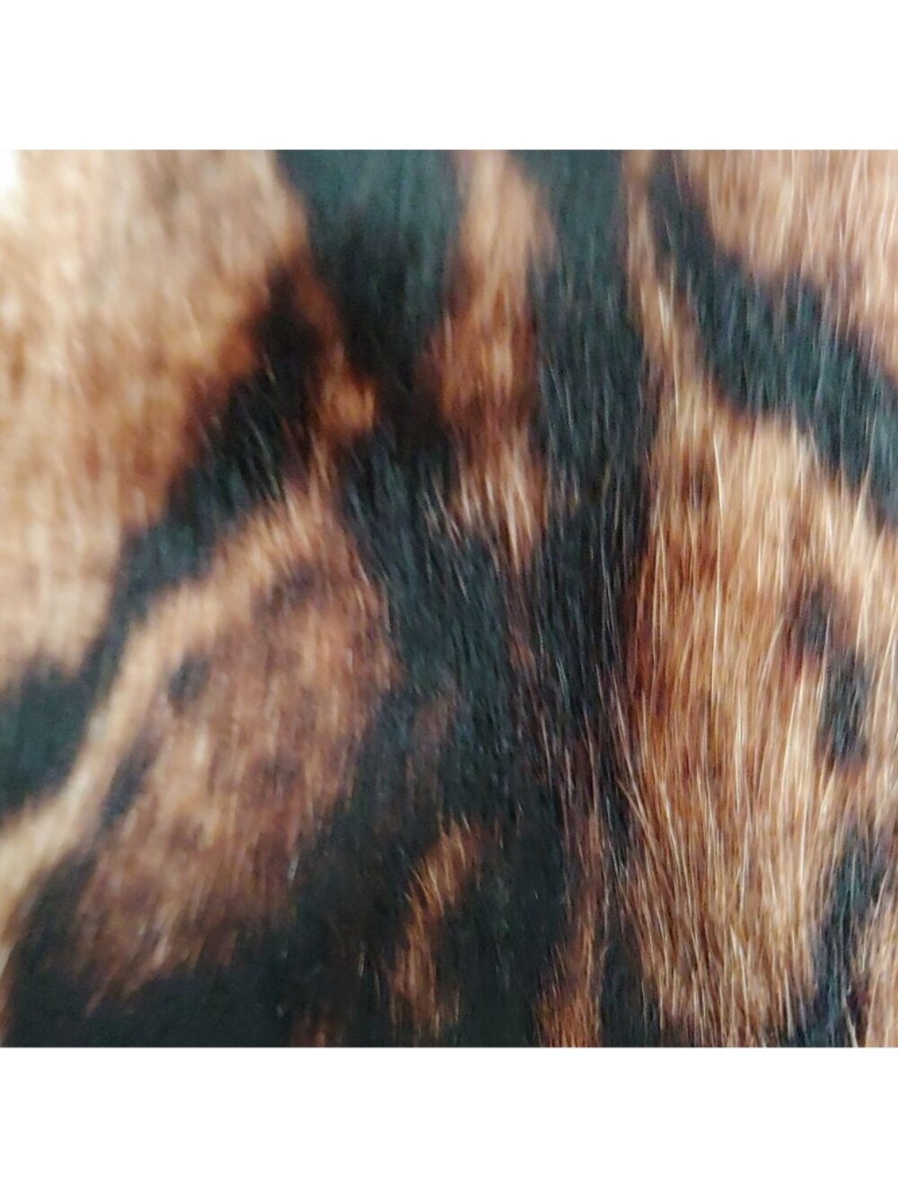 Paolo Masi Italian Leather Calf Hair Animal Print Handbag Mob Wife Loud Luxury - Picture 8 of 16